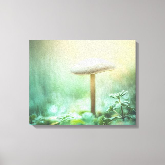 Lienzo Foto de la naturaleza encantada del hongo (Anverso)