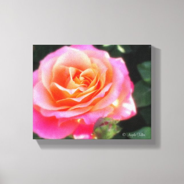 Lienzo Foto de macro Rosa rosa y Naranja bonito (Anverso)