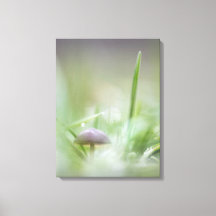 Foto de Mushroom Nature