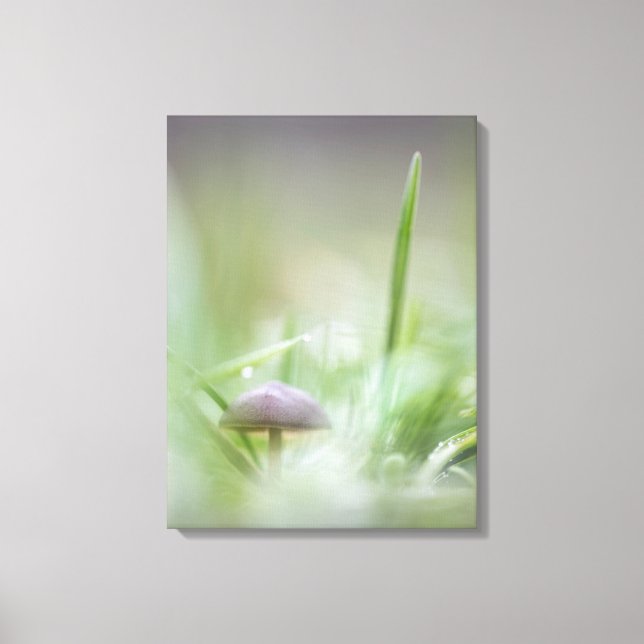Lienzo Foto de Mushroom Nature (Anverso)