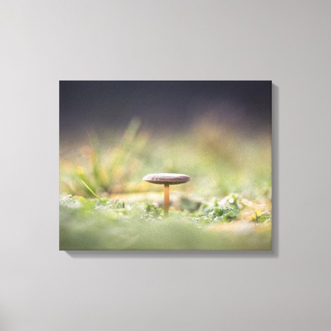 Lienzo Foto de Mushroom Nature (Anverso)