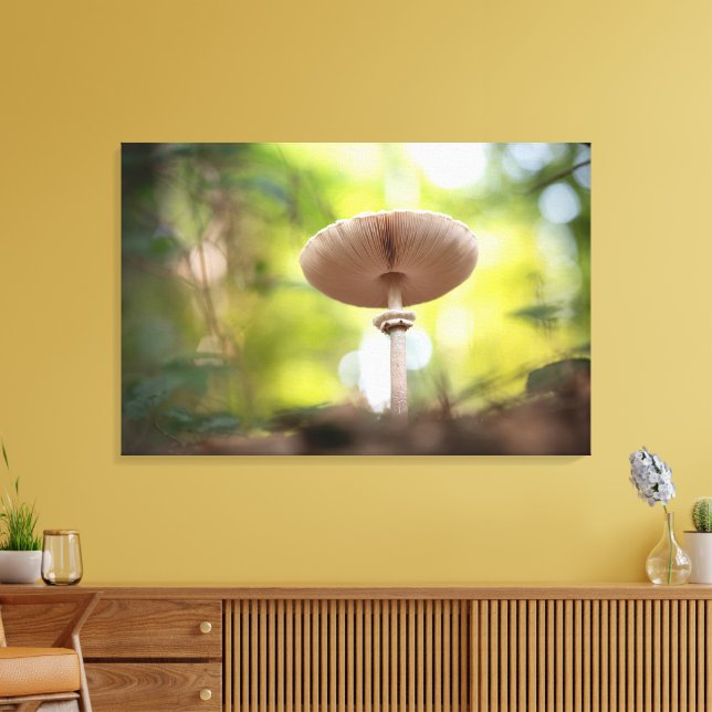 Lienzo Foto de Mushroom Nature (Insitu (Sala de estar))