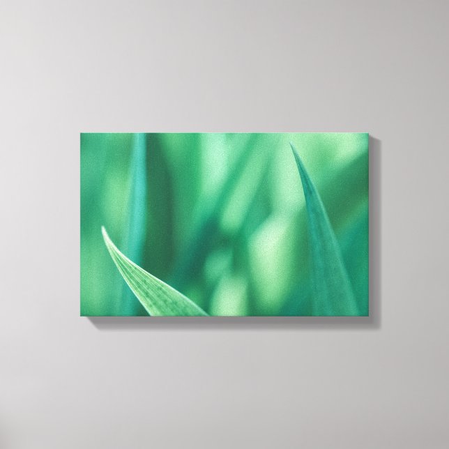 Lienzo Foto de naturaleza floral verde (Anverso)