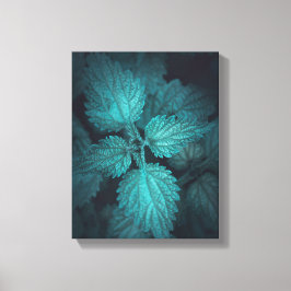 Lienzo Foto de Nettle Nature