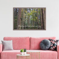 Foto de paisaje forestal con cita de John Muir