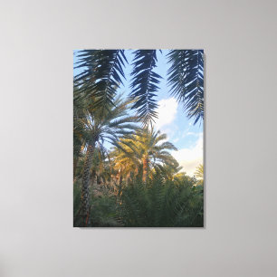 Lienzo foto de palmera