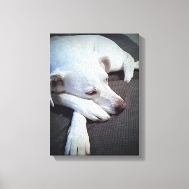Lienzo Foto de perro blanco con patas grandes (Anverso)