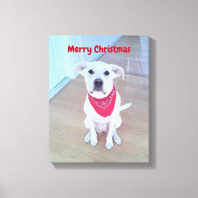 Lienzo Foto de perro lindo con curioso pegando en rojo la (Anverso)