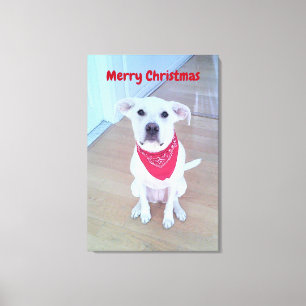 Lienzo Foto de perro lindo con orejas divertidas Navidad 