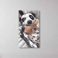 Foto de perro retrato de mascota