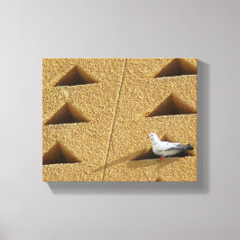 Lienzo Foto de pichón