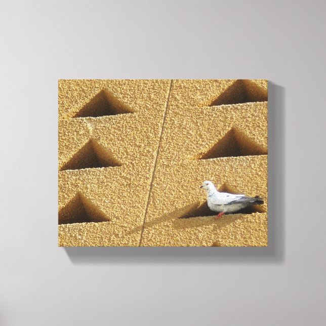 Lienzo Foto de pichón (Anverso)