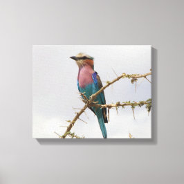Lienzo Foto de Rainbow Bird