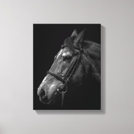 Lienzo Foto de retrato de caballo en negro