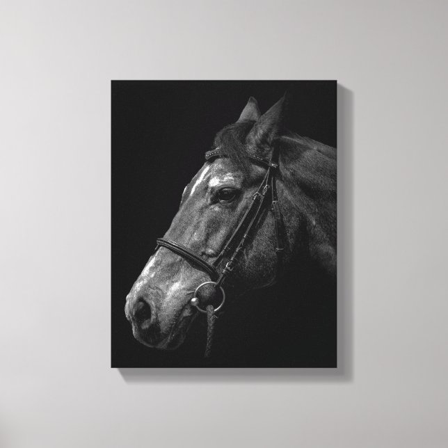 Lienzo Foto de retrato de caballo en negro (Anverso)