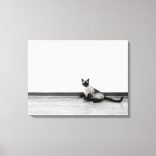 Lienzo Foto de retrato de gato siamés CUTE