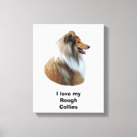 Foto de retrato de perro de Collie ruda
