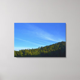 Lienzo Foto de sombra de nube blanca bosque verde cielo a