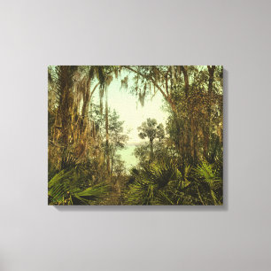 Lienzo Foto de St. Johns River Florida 1898