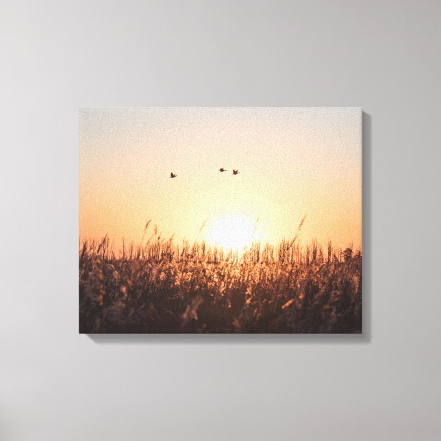 Lienzo Foto de Sunrise Reed Nature (Anverso)