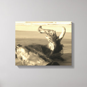 Lienzo Foto de tronco de madera flotante en la playa de C