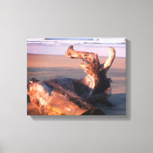 Lienzo Foto de tronco de madera flotante en la playa de C