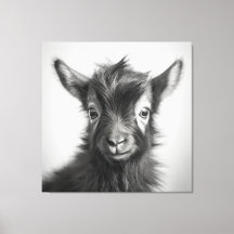 Foto de un bebé blanco y negro