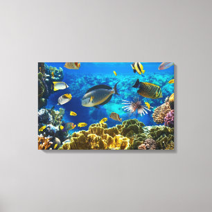 Lienzo Foto de un pescado tropical en un arrecife de