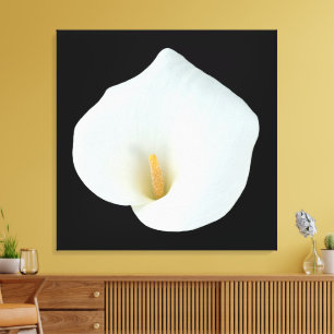 Lienzo Foto del jardín trasero de Calla blanca Lily Flowe