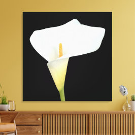 Lienzo Foto del jardín trasero de Calla blanca Lily Flowe