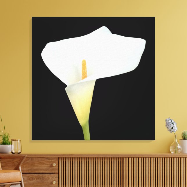 Lienzo Foto del jardín trasero de Calla blanca Lily Flowe (Insitu (Sala de estar))
