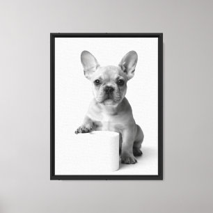 Lienzo Foto divertida de papel higiénico con Bulldog Fran