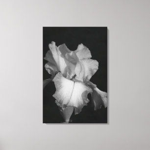 Lienzo Foto floral de iris blanco y negro