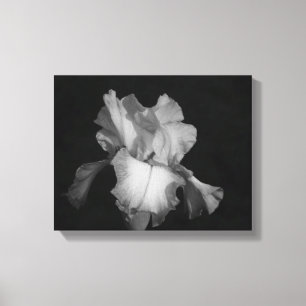 Lienzo Foto floral de iris blanco y negro