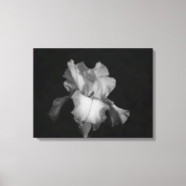 Lienzo Foto floral de iris blanco y negro