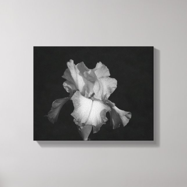 Lienzo Foto floral de iris blanco y negro (Anverso)
