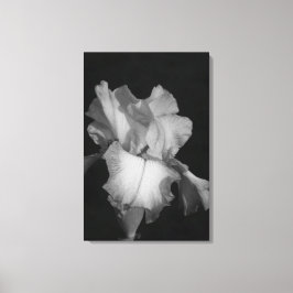 Lienzo Foto floral de iris en blanco y negro
