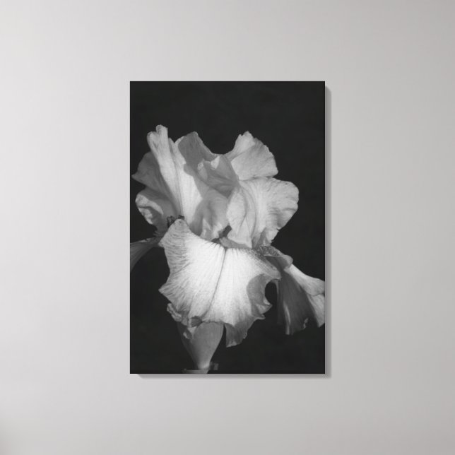 Lienzo Foto floral de iris en blanco y negro (Anverso)