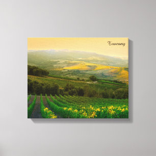 Lienzo Foto italiana del viñedo de Toscana Italia