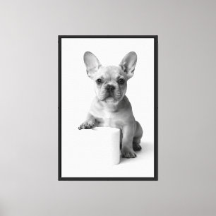 Lienzo Foto minimalista de cachorro de bulldog francés en