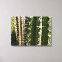 Foto natural del desierto de Cactus II de Barrel