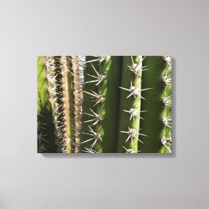 Lienzo Foto natural del desierto de Cactus II de Barrel