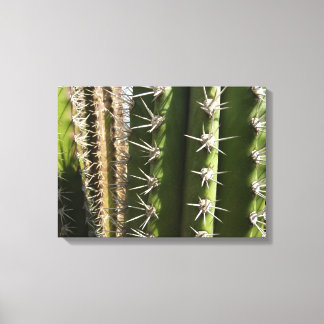 Lienzo Foto natural del desierto de Cactus II de Barrel