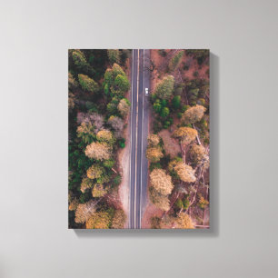 Lienzo foto vista de pájaro de la carretera en el medio