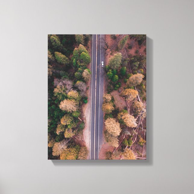 Lienzo foto vista de pájaro de la carretera en el medio (Anverso)