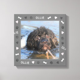 Lienzo Foto y nombre de Newfoundland