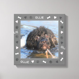 Lienzo Foto y nombre de Newfoundland Newfie