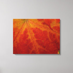 Lienzo Fotografía abstracta de la naturaleza otoñal de ho
