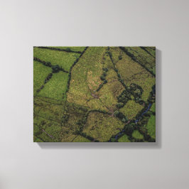 Lienzo fotografía aérea de campos verdes