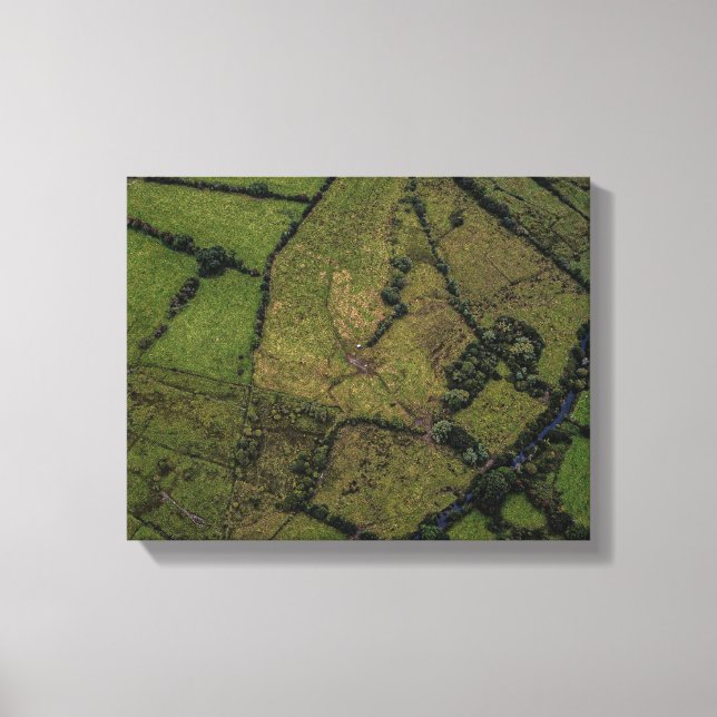 Lienzo fotografía aérea de campos verdes (Anverso)